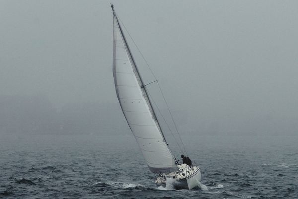 "Голубая Макрель" - которую в игре мало кто увидит, потому что будет темно.